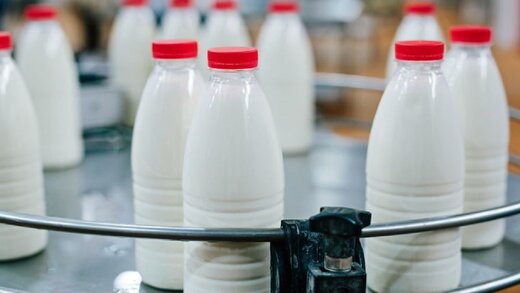 قیمت جدید شیر بزودی اعلام می‌شود/ تایید افت فروش در محصولات لبنی
