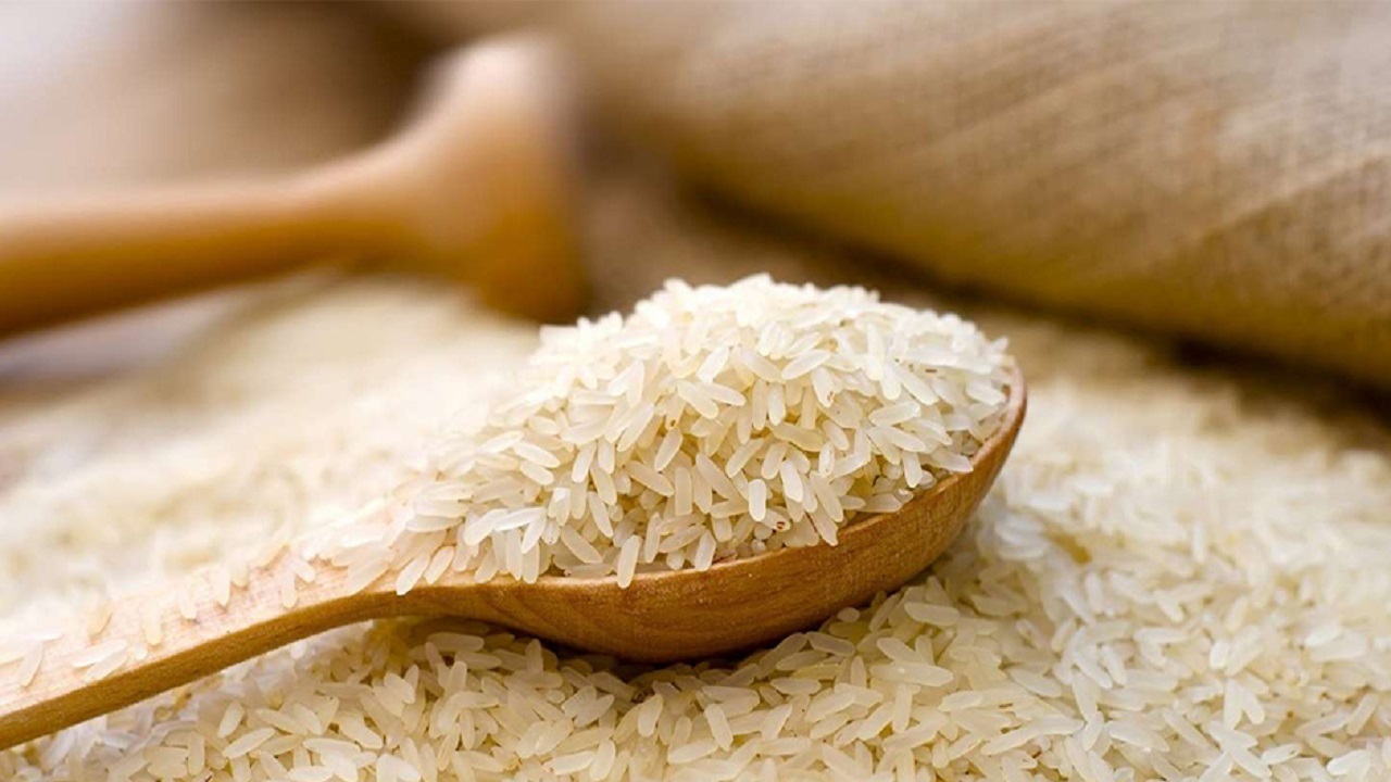 واردات برنج ۵۲ درصد کاهش یافت