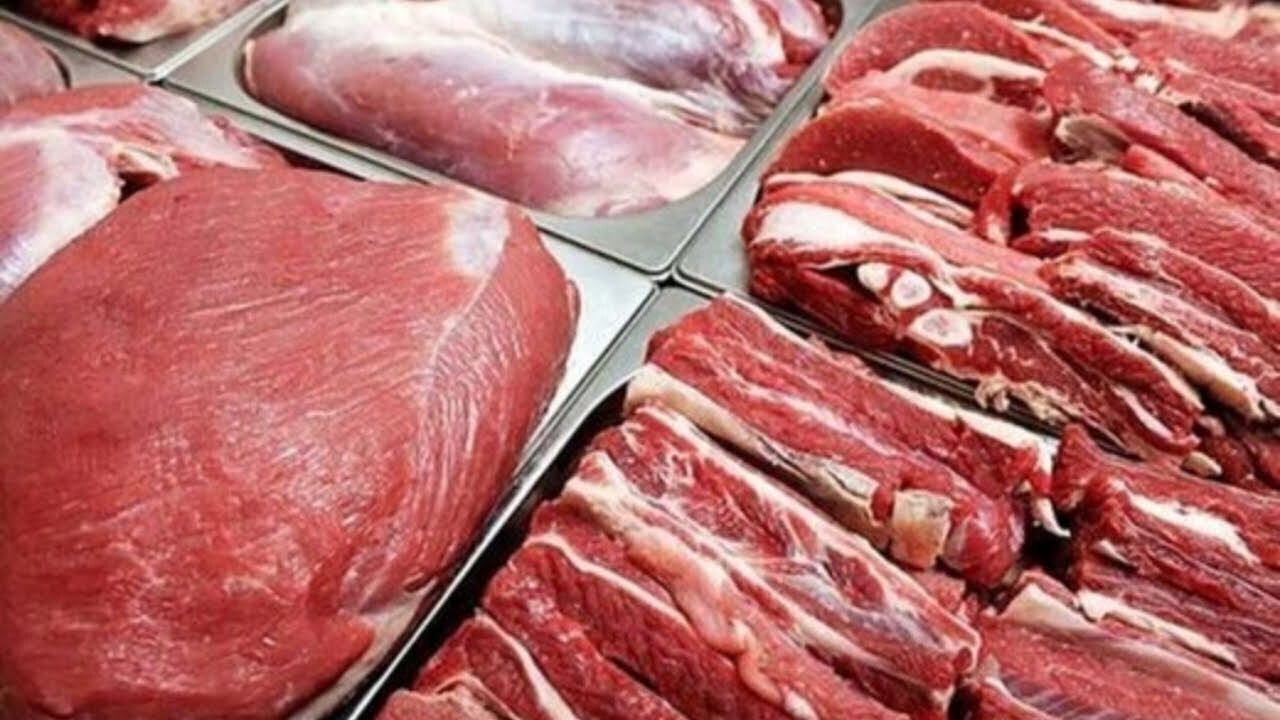 پتانسیل تامین ۱۰۰ درصدی گوشت قرمز وجود دارد