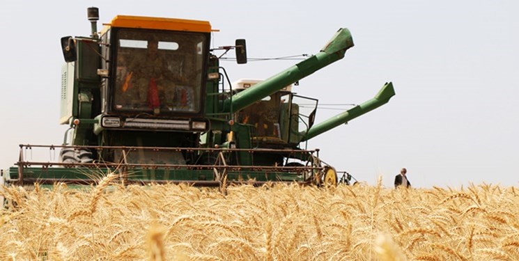 ۳ میلیون تن بیشتر از سال گذشته گندم داخلی خریداری شد