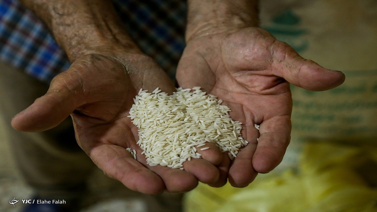 خرید حمایتی برنج راهی برای بازگشت رونق به بازار