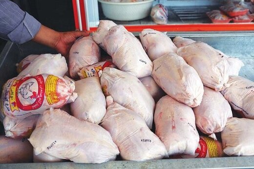 ماهانه ۲۰۰ هزار تن مرغ مورد نیاز کشور است