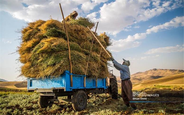 ۱۰ هزار میلیارد تومان از مطالبات کشاورزان پرداخت شد