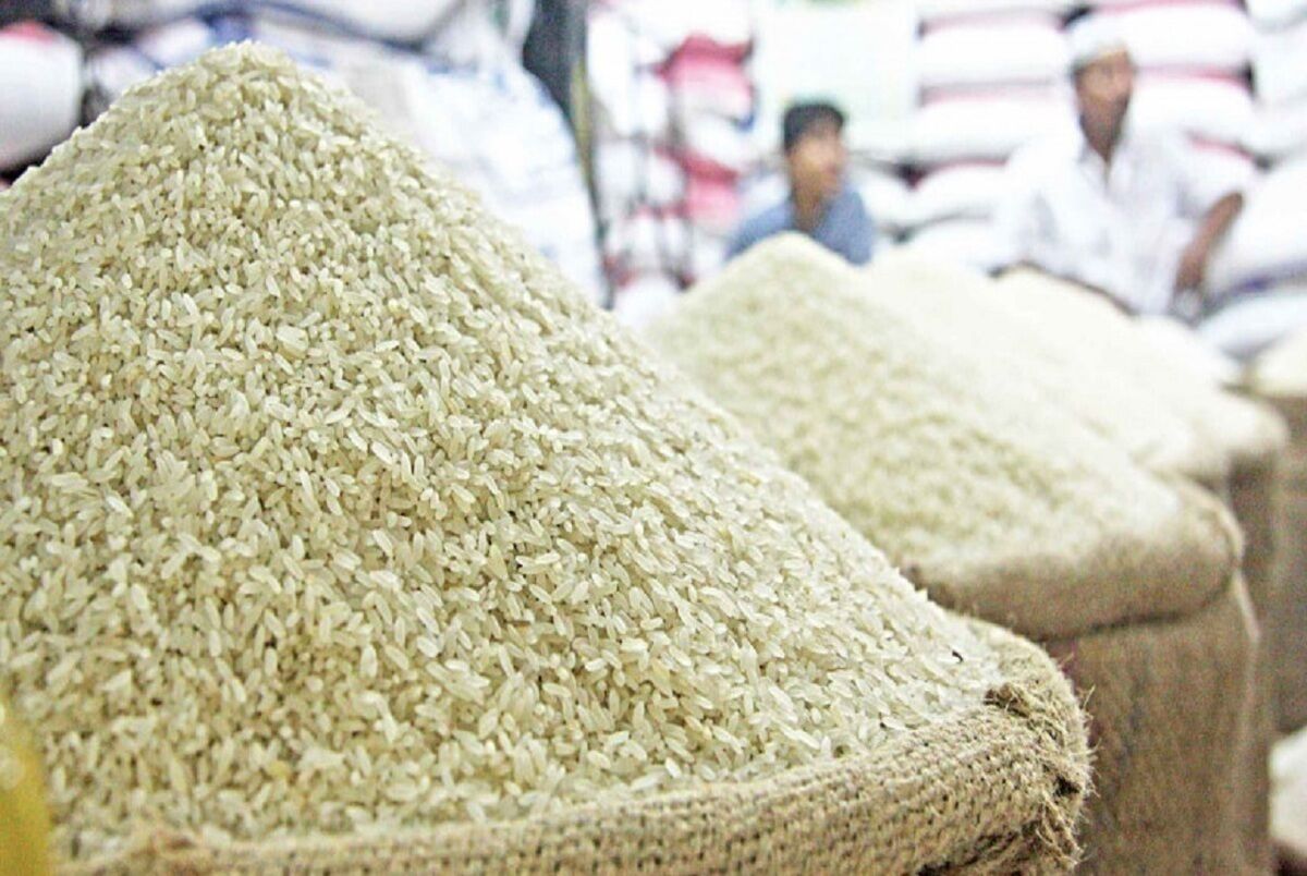 ثبات بازار برنج در گرو واردات/ارز مبادله‌ای جایگزین ارز ترجیحی شود