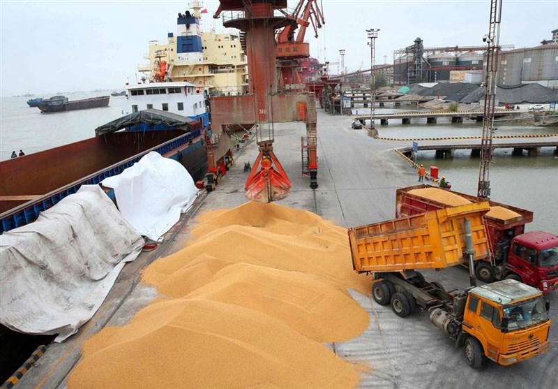 مقصر نابه سامانی در بازار نهاده‌های دامی کیست؟