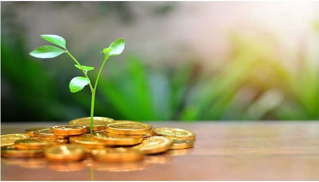 بهترین سرمایه‌گذاری امروز؛ خرید دارایی یا توسعه کسب‌وکار؟