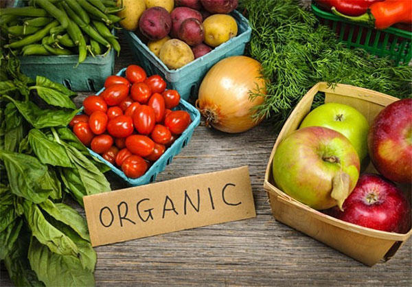 حمایت از تولیدات خانگی، مواد غذایی ارگانیک و صنایع‌دستی