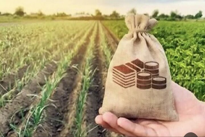 سایه قبض ۴۰۰ میلیونی بر سر کشاورزان/مشکل برق چاه‌ها ریشه‌ای حل شود